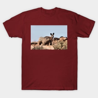 Western Grey Kangaroo T-Shirt